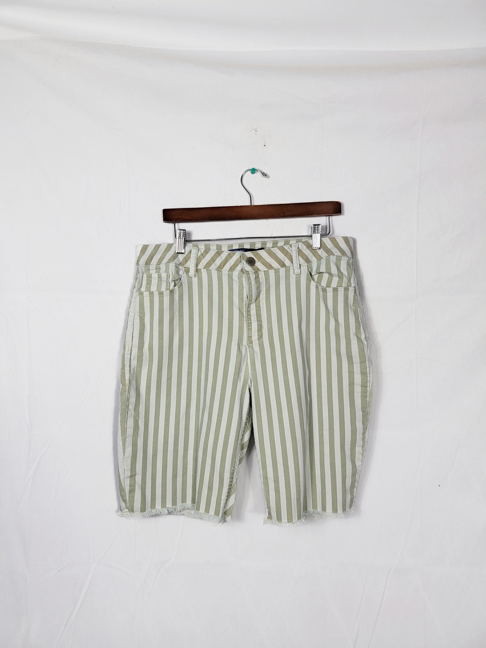 Women's Size 16 Project Blue Striped Green & White Casual Shorts